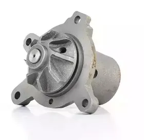 BSG 60-500-004 BSG Водяной насос